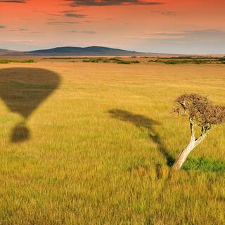 Ballonschatten in der Masai Mara 