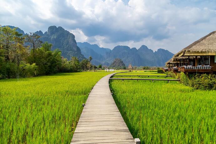 Blick auf die grünen Reisfelder und Karstbergen in Vang Vieng auf einer Laos Reise mit SKR