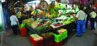 Markt von San José