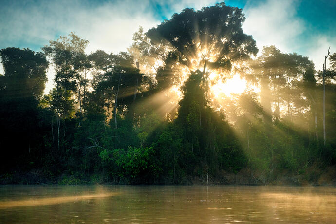 Sonnenaufgang am Fluss Kinabatangan