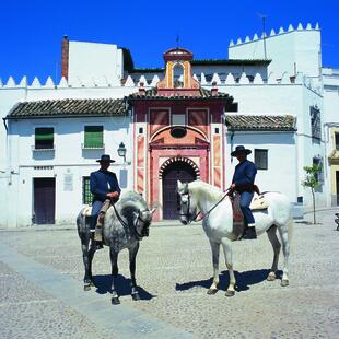 Spanische Reiter in Cordoba Plaza de los Abades