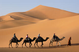 Kamelritt durch die Wüste