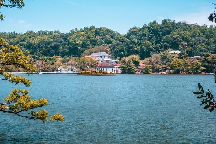 Kandy See