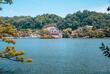 Kandy See