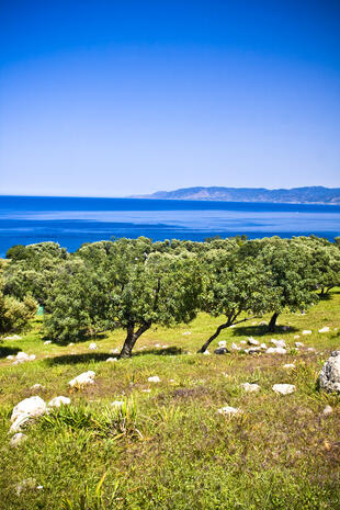 Landschaftliche Schönheit Zyperns