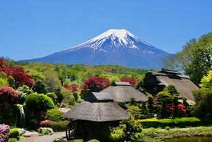 Oshino Village