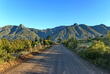 Strasse bei Swellendam mit Langeberg Range