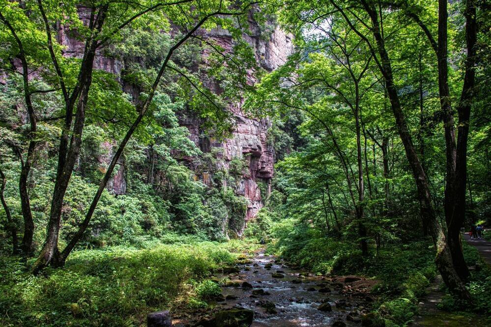 Zhangjiajie Nationalpark 