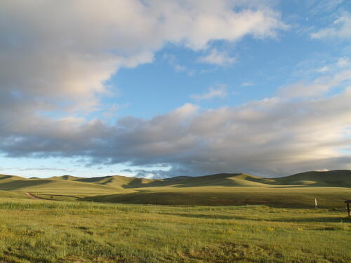 überwältigt von der Weite und Schönheit der Mongolei