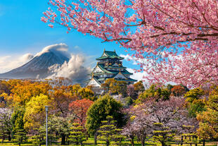 Schloss in Osaka mit Fuji im Hintergrund 