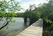 Steg am Ufer