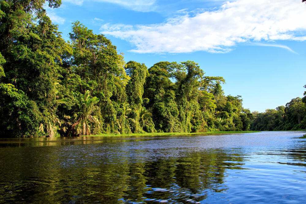 Tortuguero Nationalpark