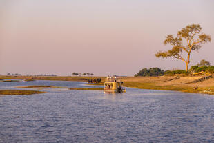 Boot aus auf dem Chobe River