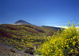 Landschaft Teide