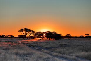Sonnenuntergang in Kalahari