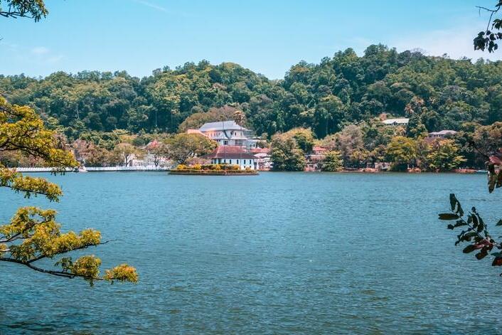 Kandy See