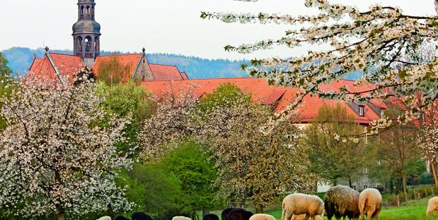 Kloster Marienrode im Frühling