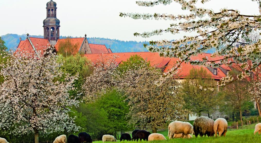 Kloster Marienrode im Frühling