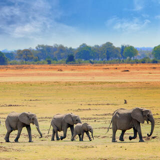 Südluangwa-Nationalpark