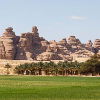 Landschaft in AlUla mit Dattelpalmen