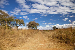 Sambia's Landschaft