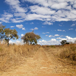 Sambia's Landschaft