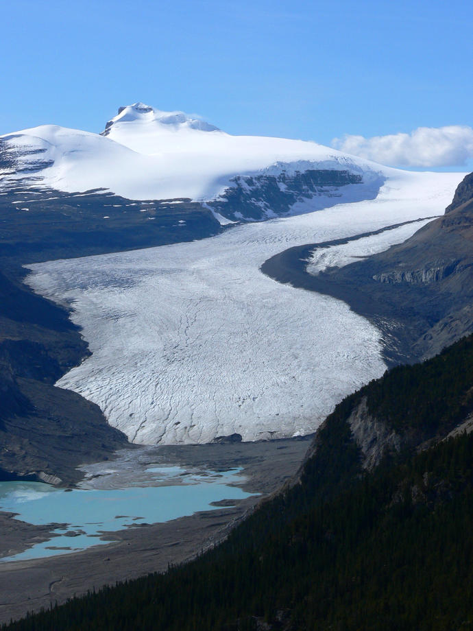 Saskatchewan Glacier 