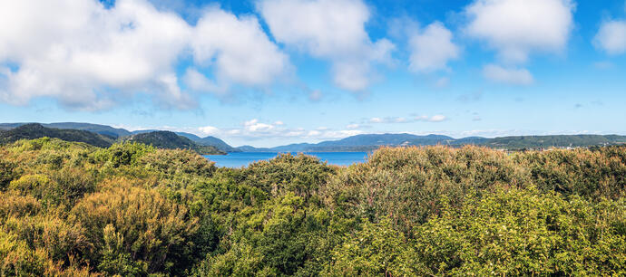 Chiloé Nationalpark