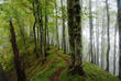 Lagodechi-Nationalpark