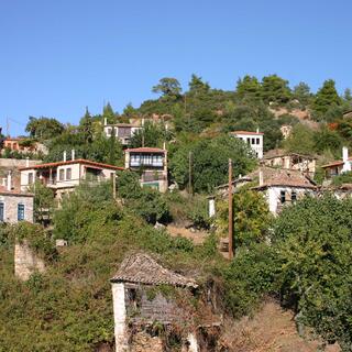 Parthenonas