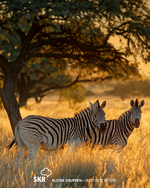 Südafrika: Krüger Nationalpark