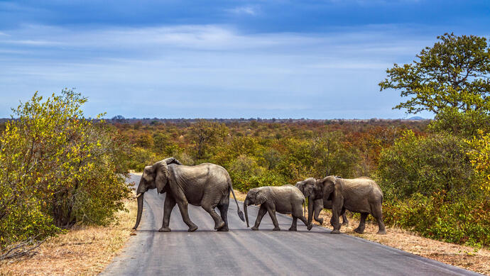 Die mächtigen Viktoriafälle in Südafrika