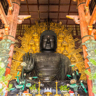 Daibutsu Nara