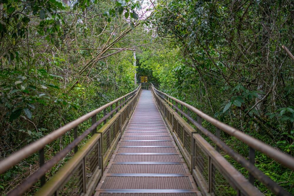 Wanderweg bei den Iguazu Wasserfällen 