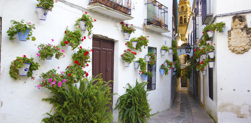 Gasse in Córdoba