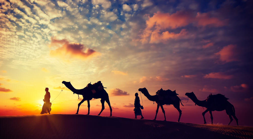 Rajasthan Reisen