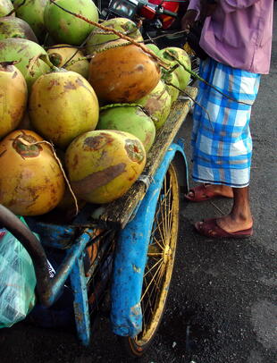 Verkauf von Kokosnüssen 