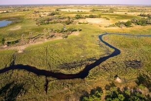 Wasserkanäle Okavango-Delta