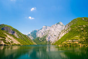 Koman See