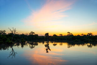 Sonnenuntergang im Krüger Nationalpark