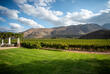Weinberg in Montagu