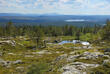 Landschaft Lapplands 