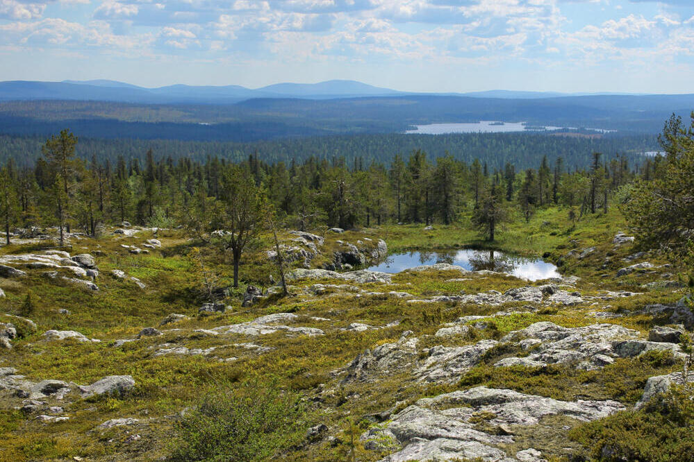 Landschaft Lapplands 
