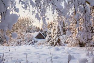 Winterlandschaft im Lahemaa Nationalpark 