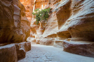 Petra