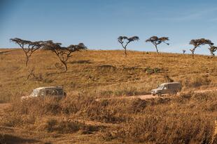 Ngorongoro Conservation Area Pirschfahrt