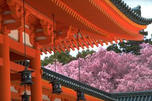 Heian Schrein 