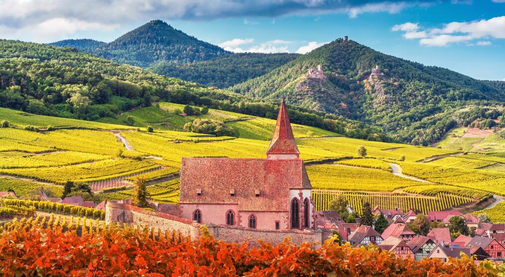 Kirche Wein Elsass Frankreich Reisen