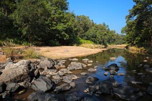 Landschaft im Kanha Nationalpark 