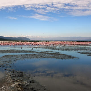 Ngorongoro-Krater